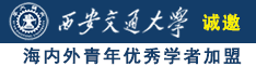 我的鸡巴插进穴里九一精品网站诚邀海内外青年优秀学者加盟西安交通大学