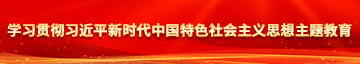 二B免费视频学习贯彻习近平新时代中国特色社会主义思想主题教育